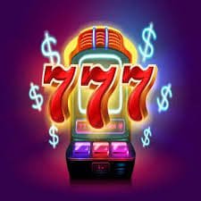 win11bet