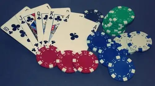 win11bet